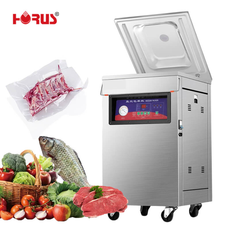 Single Door Vacuum Sealer Packing Machine